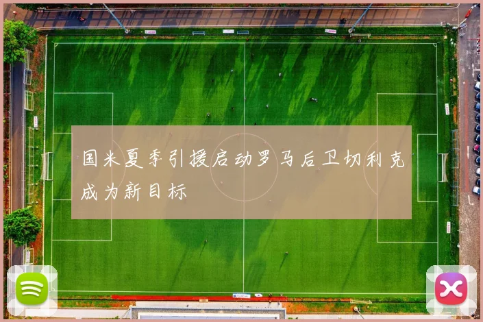 国米夏季引援启动罗马后卫切利克成为新目标